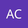 Arche Consulting Sp z o.o.