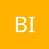 BIZPROJEKT