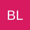 BlockyDevs sp. z o.o.