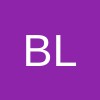 BLUEBINARY SPÓŁKA Z OGRANICZONĄ ODPOWIEDZIALNOŚCIĄ
