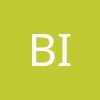 Bright Inventions