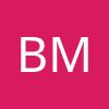 BSS Materialflussgruppe