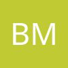 Business Systems Consulting Norbert Mamos
