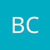 BV Grupa s.c.