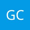 Gavlicka Consulting