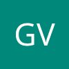 Grupa VIST