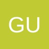 Guidewire