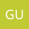 Guidewire