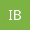 INDIE BI