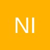 N-iX