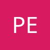P.U.H Eltrans