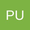 Publink