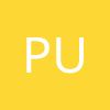 PubNub