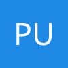 Pulse