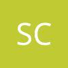 Sollers Consulting