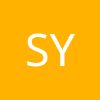 Synergetica